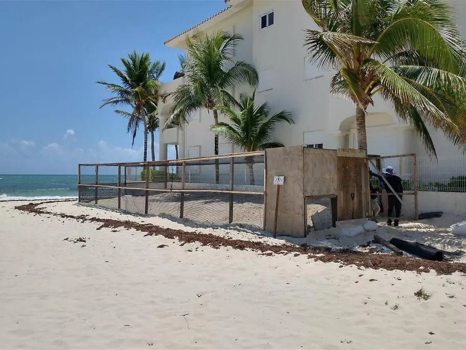 Peaceful & Beautiful 3 Min Walking To The Beach Apartment Puerto Morelos 0*,  Mexico
